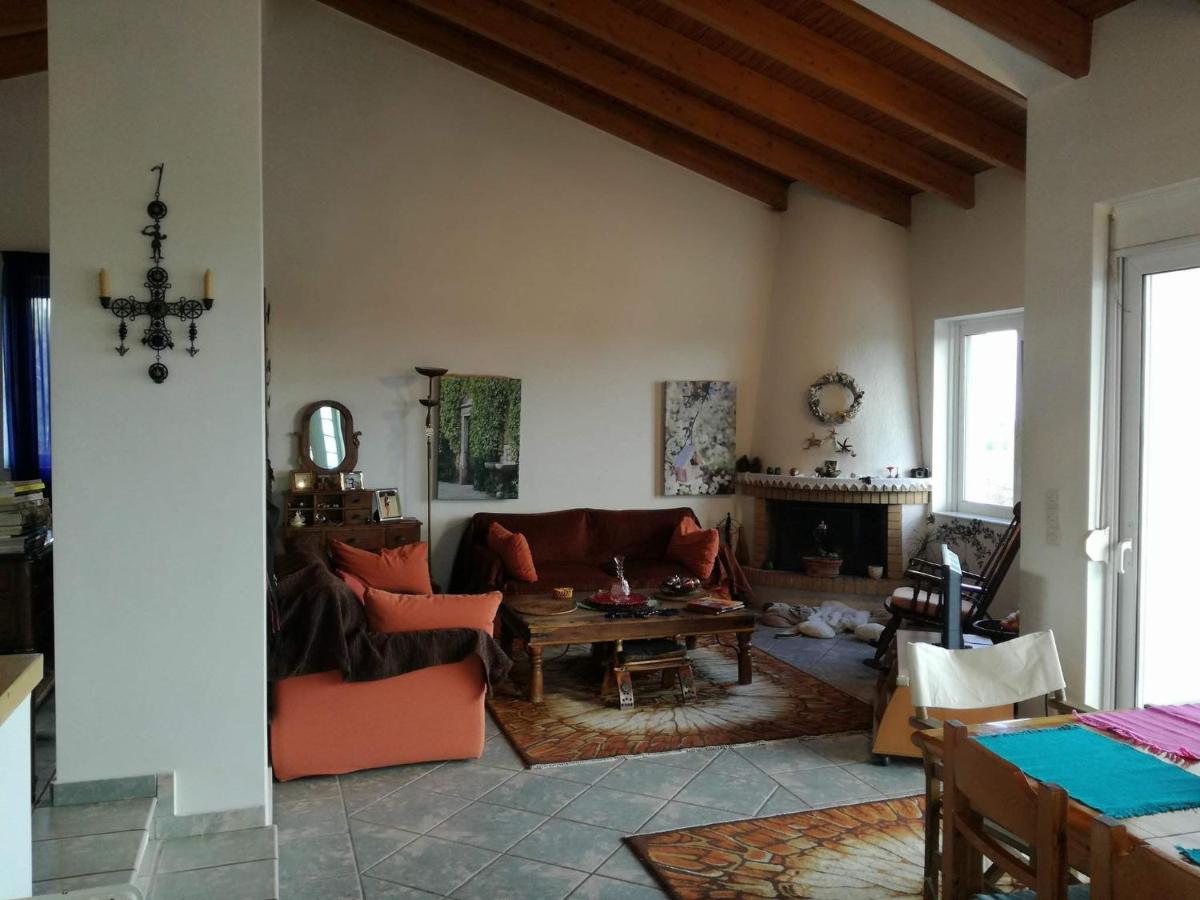 Adams Studio in Oropos - Housity
