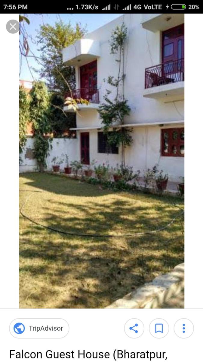 Falcon guest house - Housity