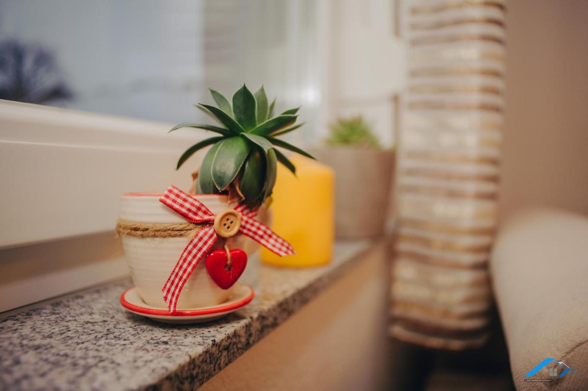 Isaka Samokovlije Apartment - Housity