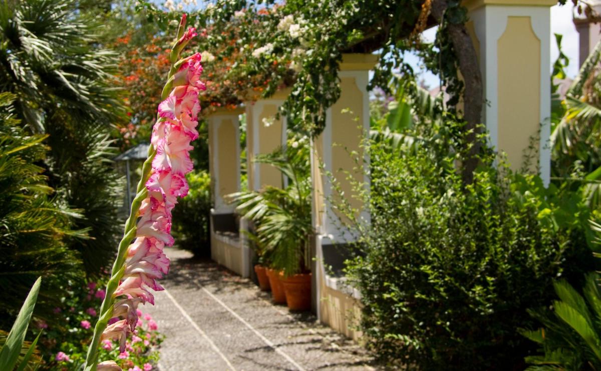 Um jardim no exterior de Hotel Quinta Bela S Tiago