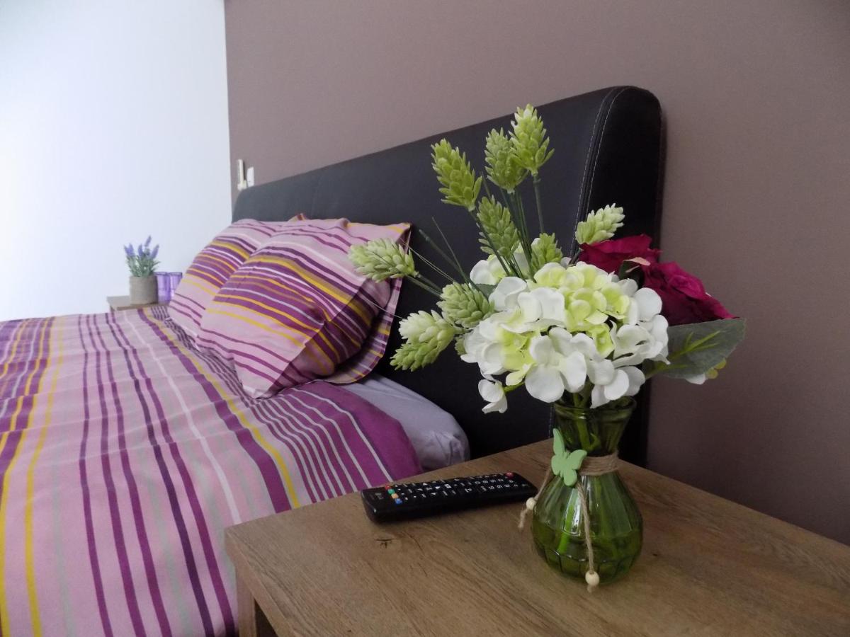 Colosseum Residence - Housity