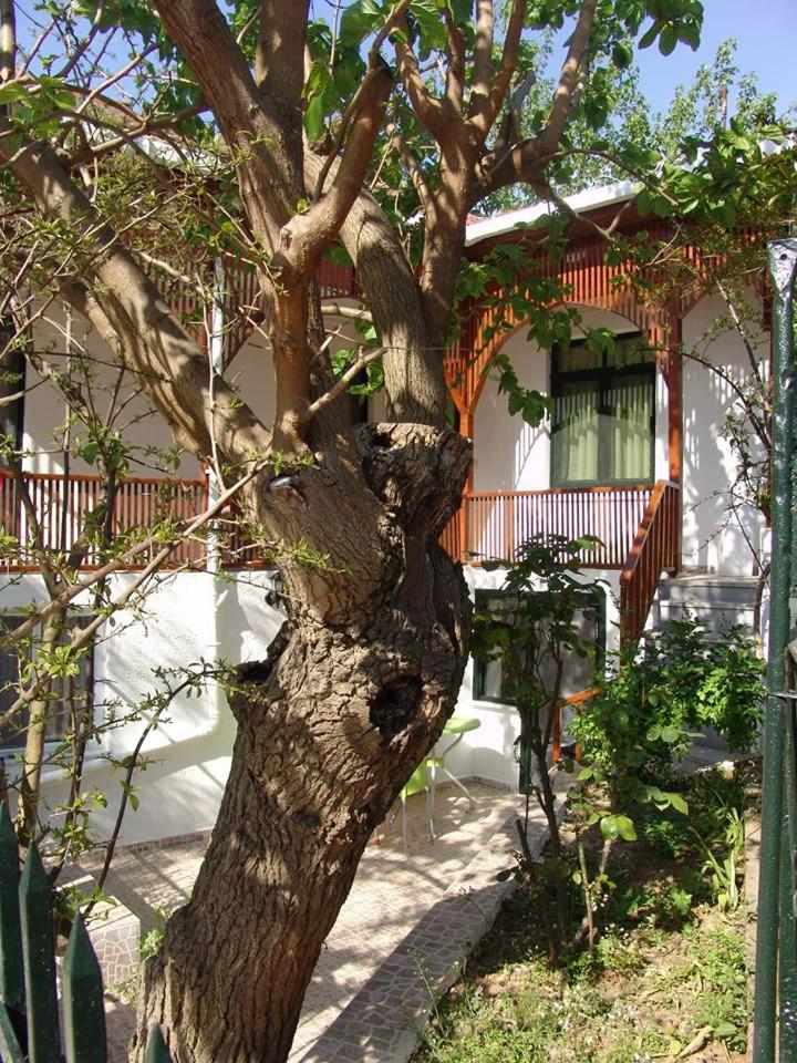 Orhan Kutbayin Evi - Housity