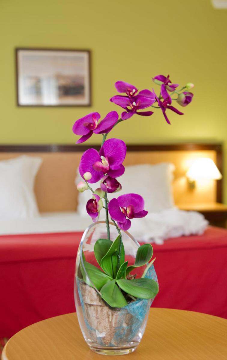 Uma cama ou camas num quarto em Hotel Quinta Bela S Tiago