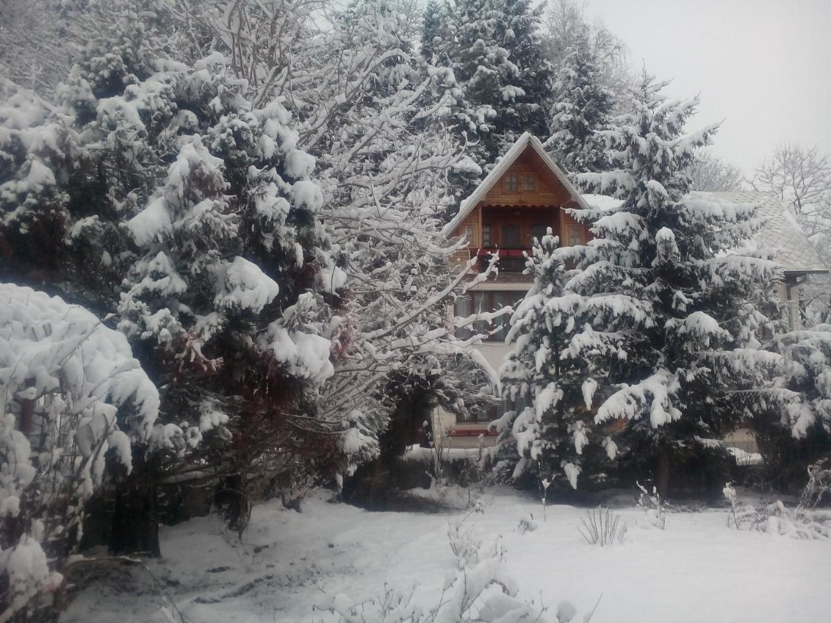 Pensiunea Paradis - Housity