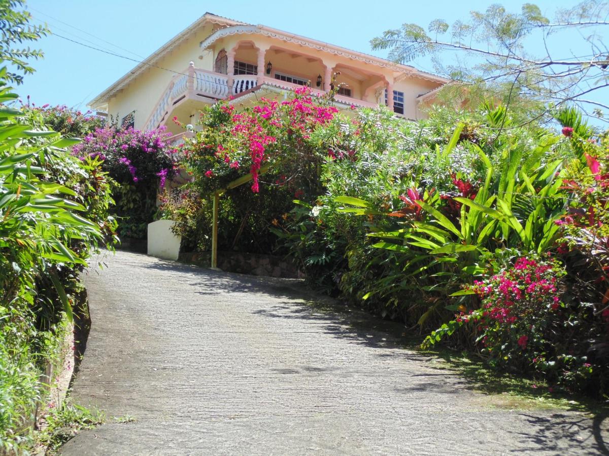 Piton Vista - Housity