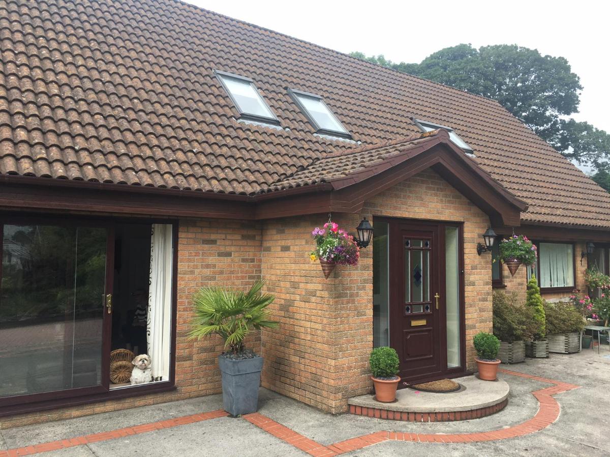 The Firs - Englefied studio - Housity
