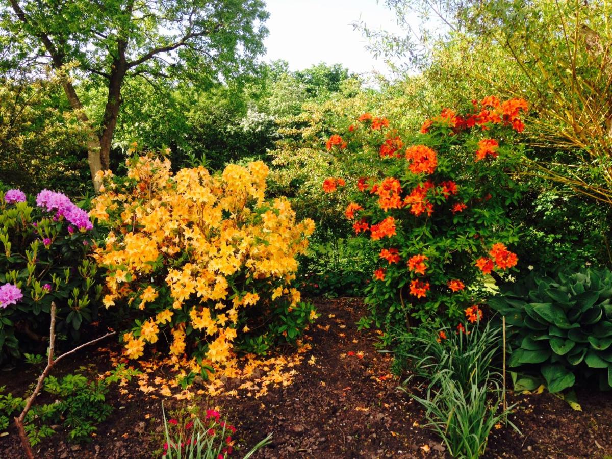 Spinkebjerg 18, 7400 Herning - Housity