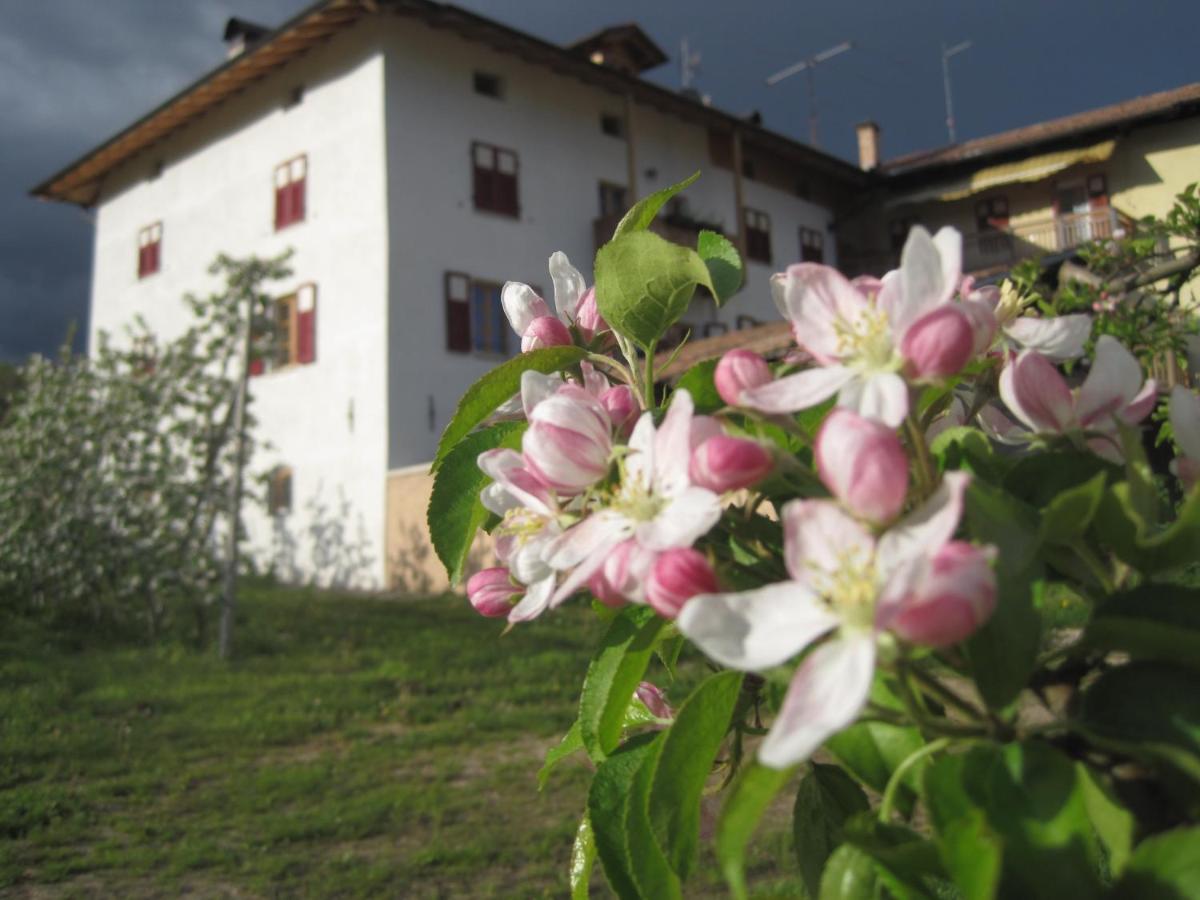 Suitetrails - Agritur Maso San Bartolomeo