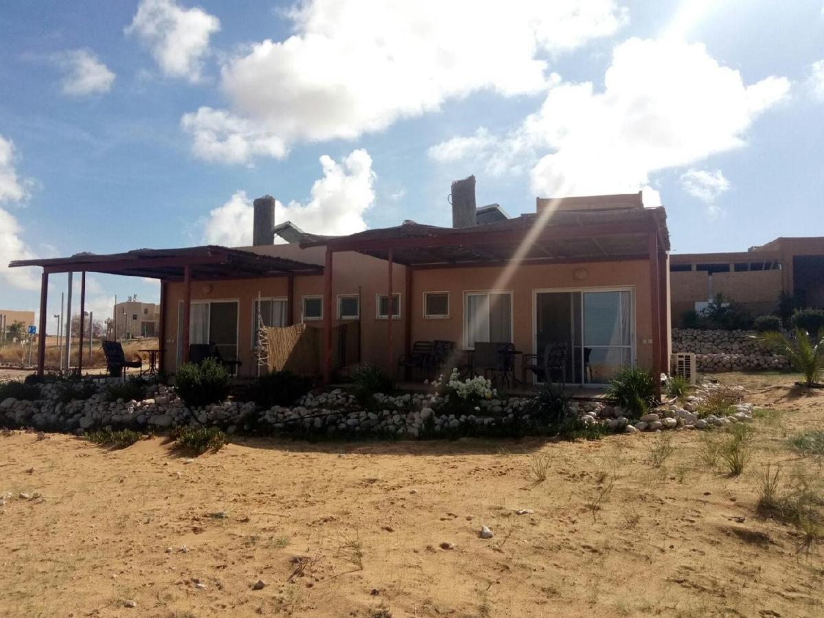 Desert Fantasy - Housity