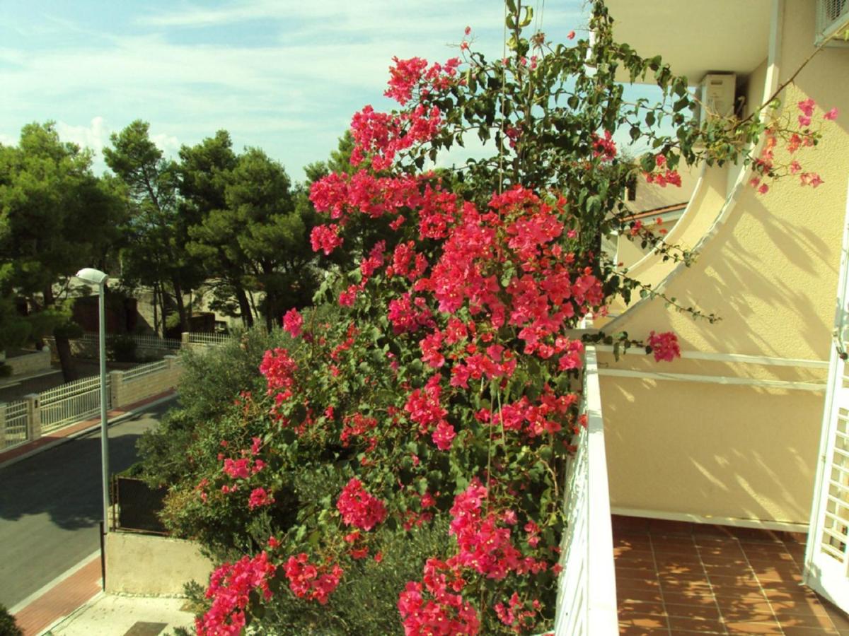 Apartments Miranda Sea & Nature - Housity