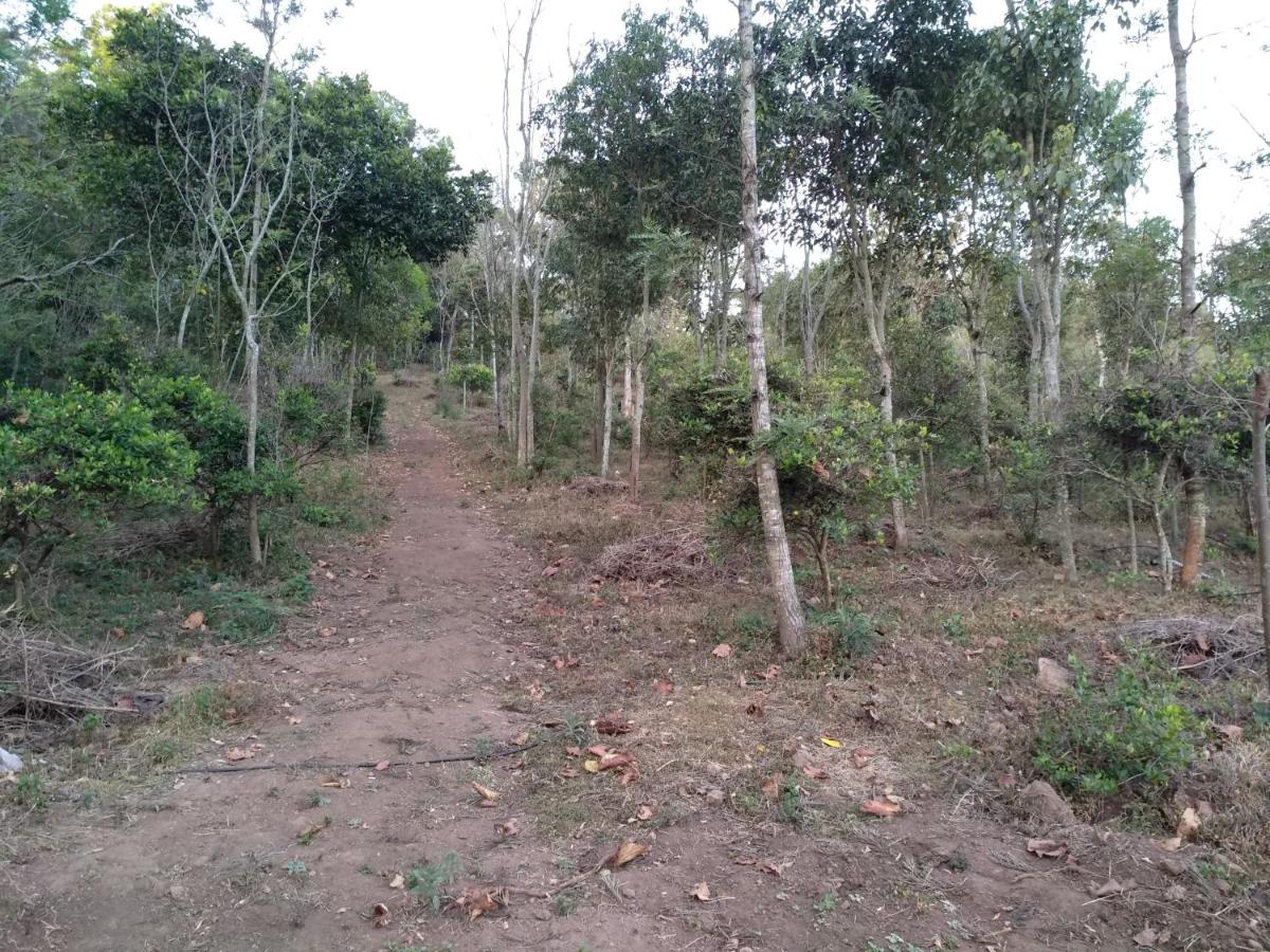Vallanadu pannai - Housity