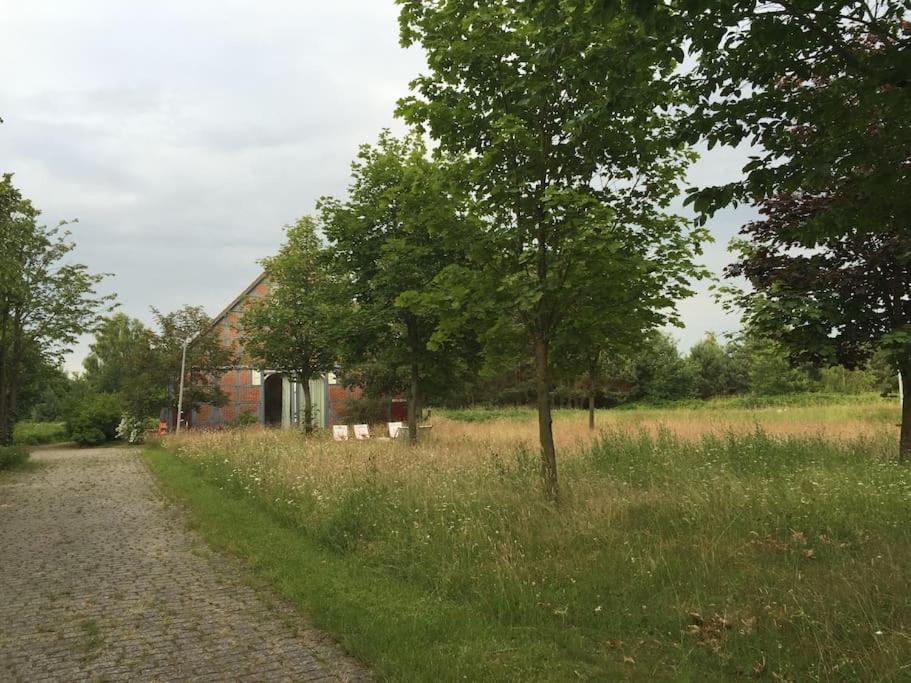 Entspannung in der schönen Lüneburger Heide - Housity