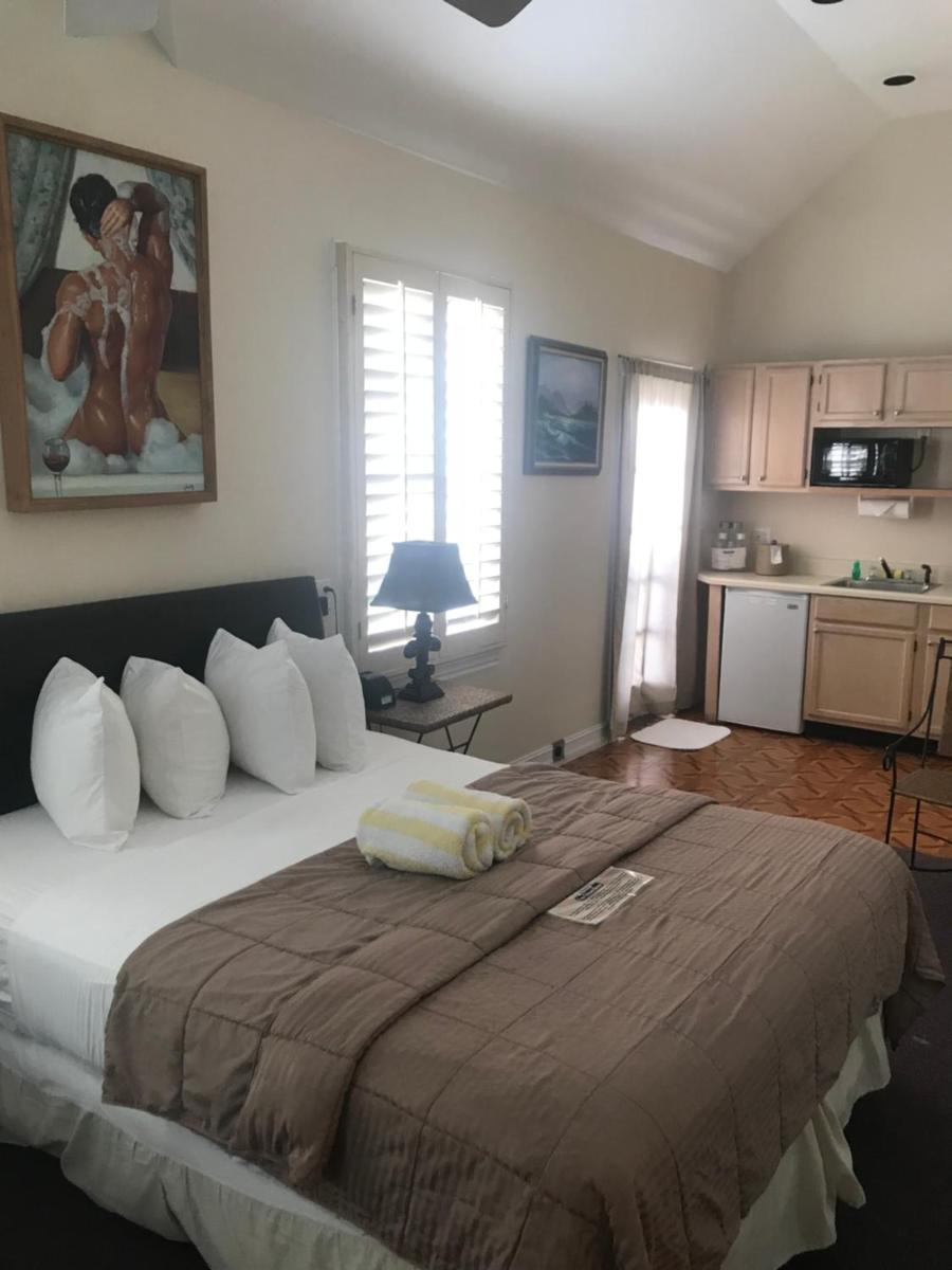 New Orleans House - Gay Male Adult Guesthouse - Hizvo