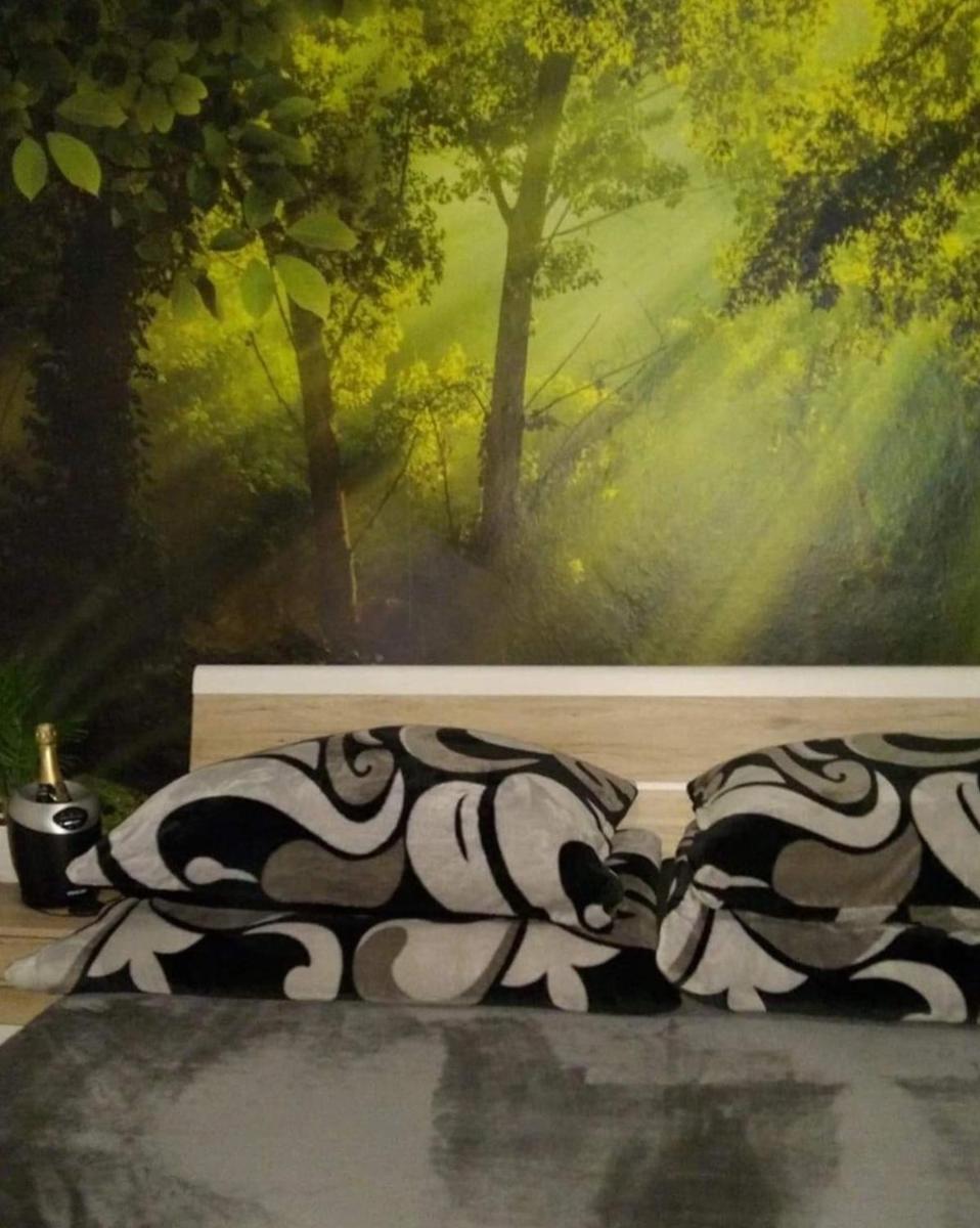 Apartman Za Potokem - Housity