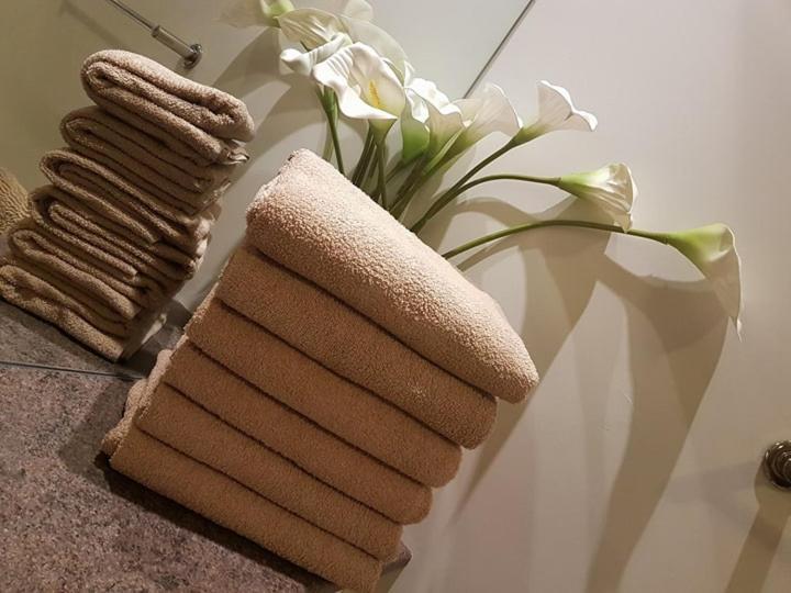 Yvi's 2-3 Bedroom Town Apartment - Housity