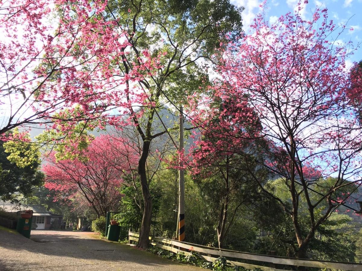 Xianshan Homestay - Housity