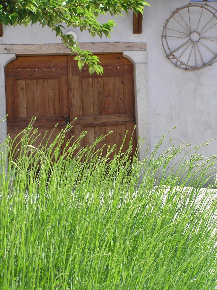 Pliskovica Youth Hostel - Housity
