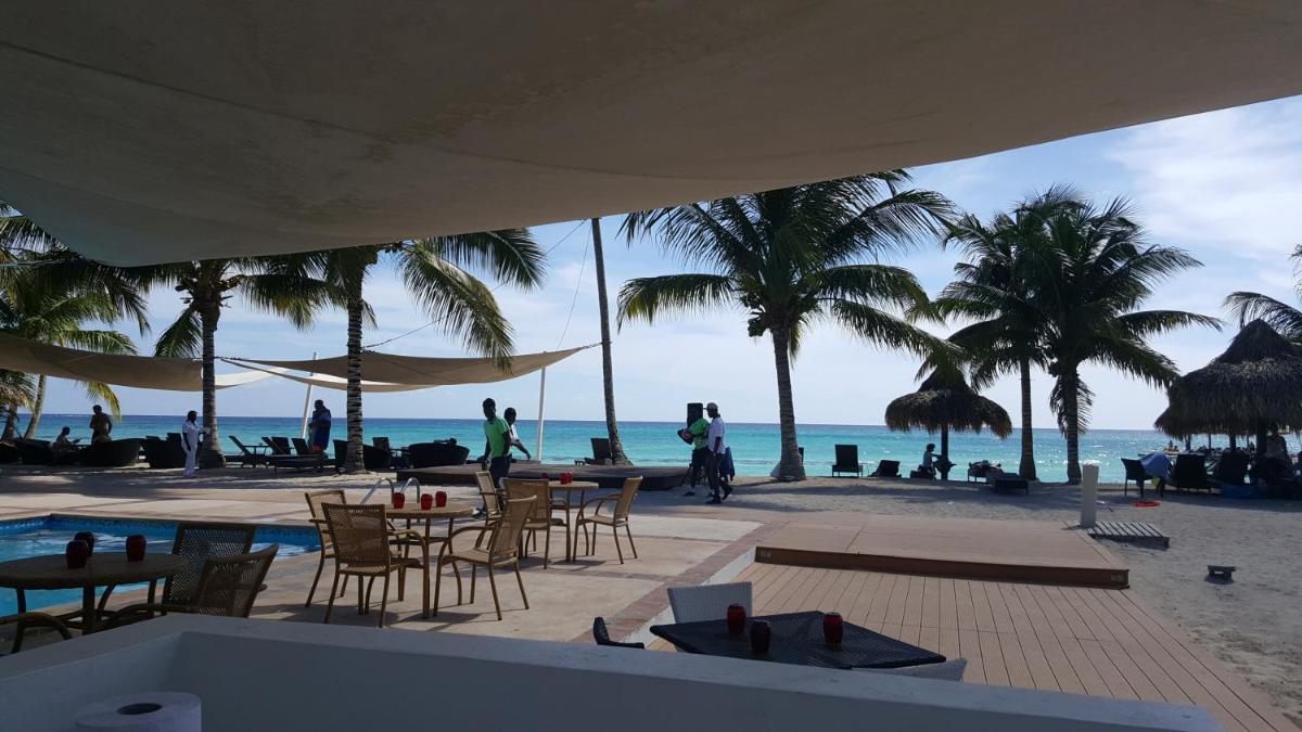 Caribbean Pearl - Housity