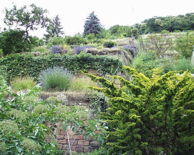 Ferienwohnung Appolonia - Housity