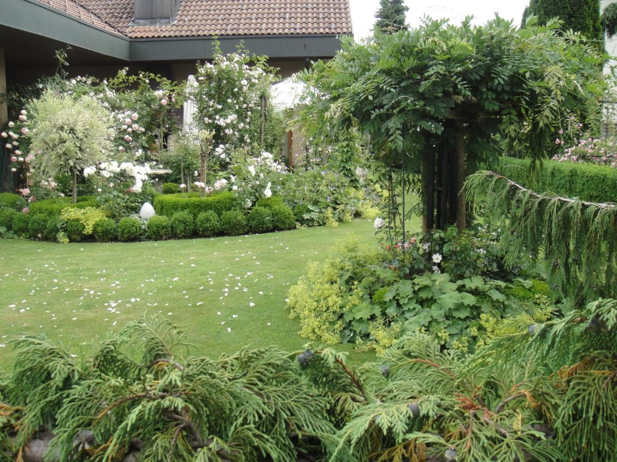 Suitetrails - Charming and cosy apartment near Lucerne