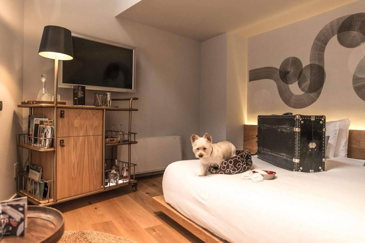 Cama o camas de una habitación en Puro Hotel Oasis Urbano