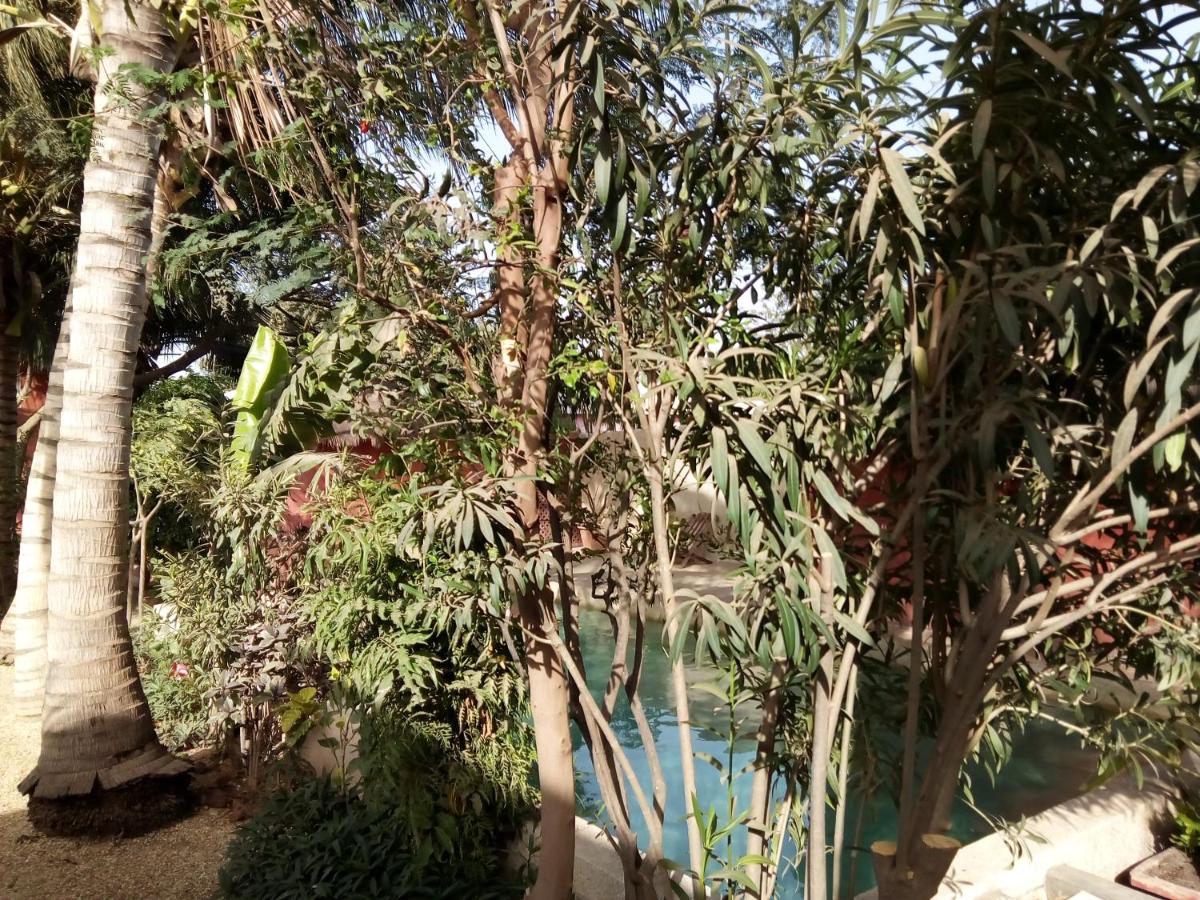 Hôtel Joal Lodge - Housity