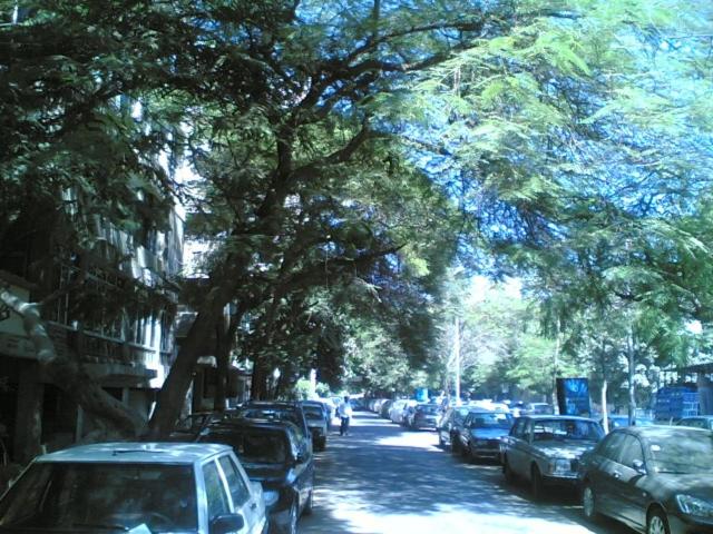 Furnished Flat in Cairo zero one zero one zero six seven nine two four four - Housity