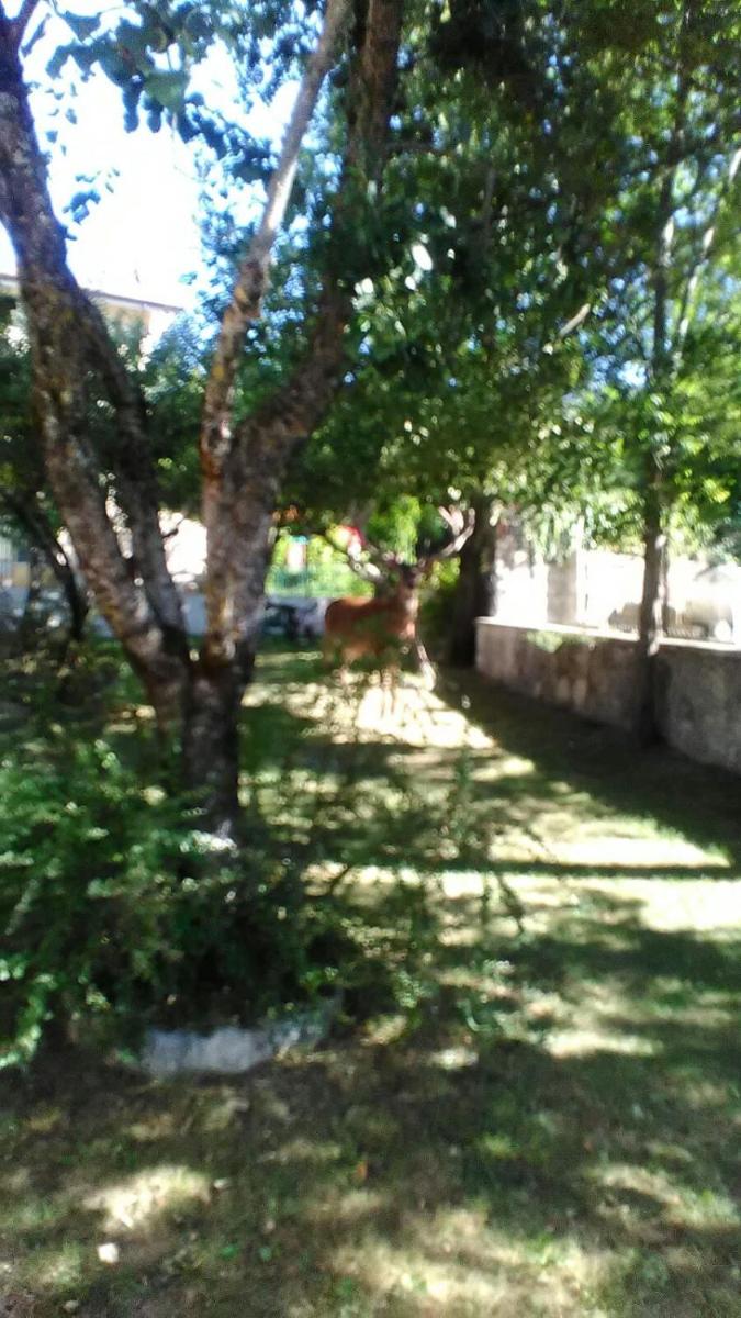 Appartamenti De Sanctis - Housity