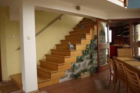 Spatious architectural house - Housity