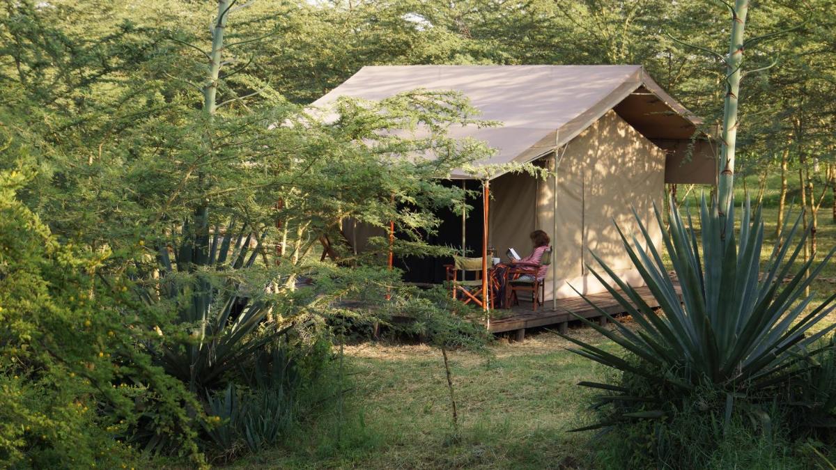 Kambi Amani - Housity