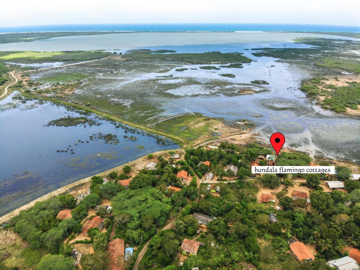 Bundala Flamingo Cotteges - Housity