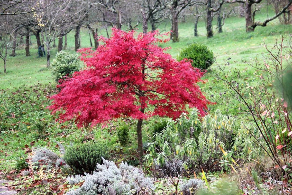 La Hulotte - Housity