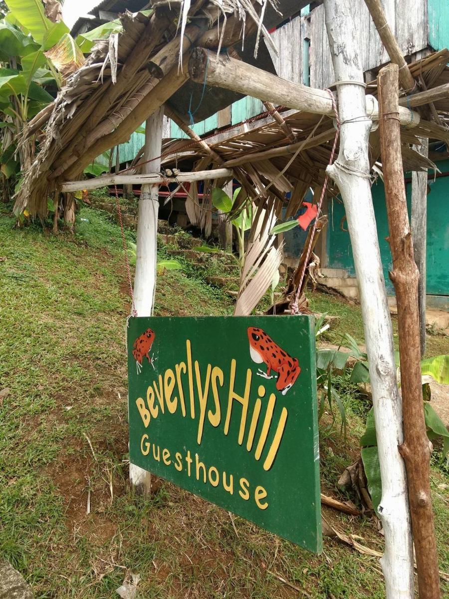 Beverly's Hill Guest House - Housity
