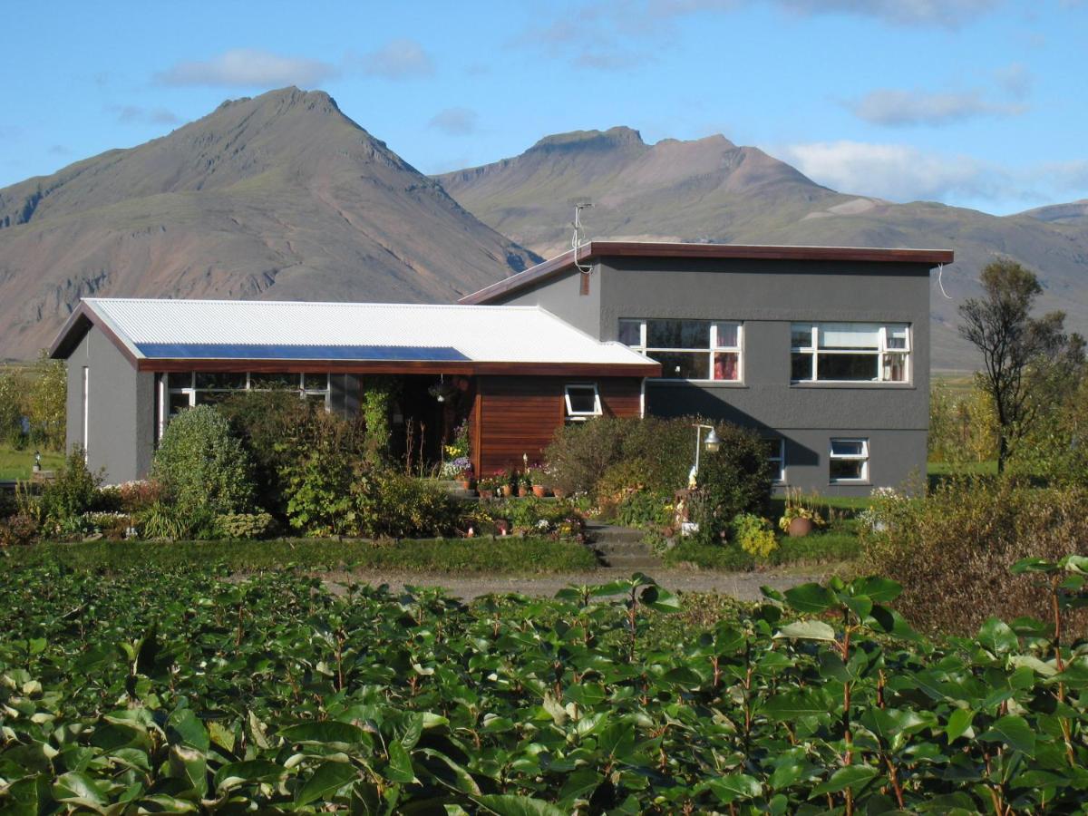 Dilksnes Guesthouse - Housity
