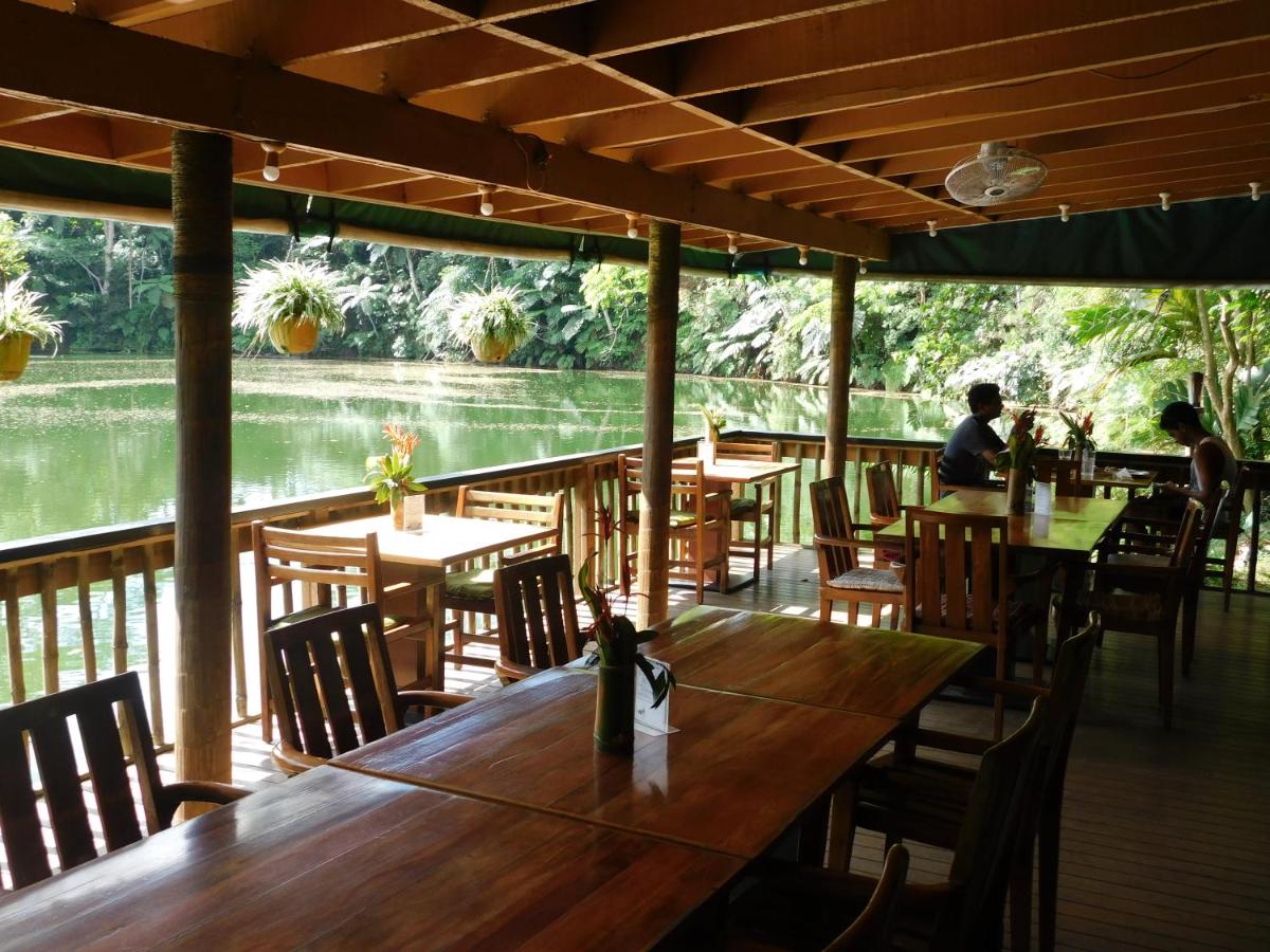 Rainforest Eco Lodge - Housity