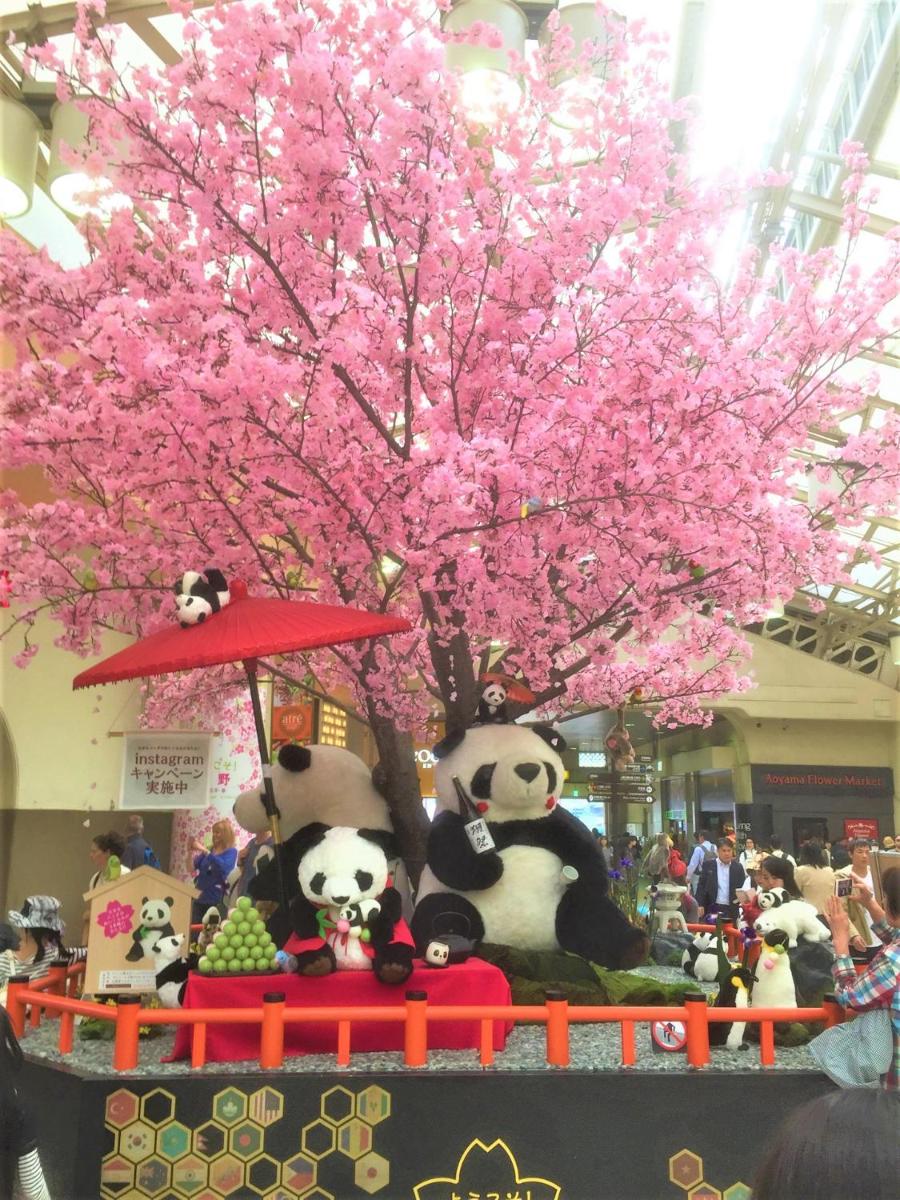 Mervielle Ueno - Housity