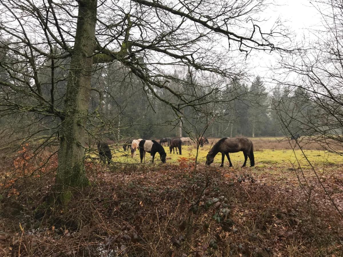 De Kempse Hoeve B&B - Housity
