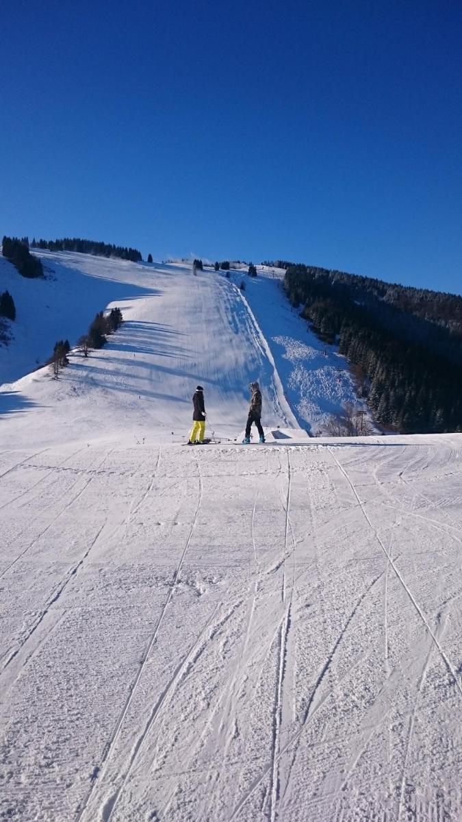 FATRAPARK 1 U SOVIČKY štúdio, kuchynka, kúpeľňa,s balkónom grátis parkovanie v podzemnej garáži - Housity