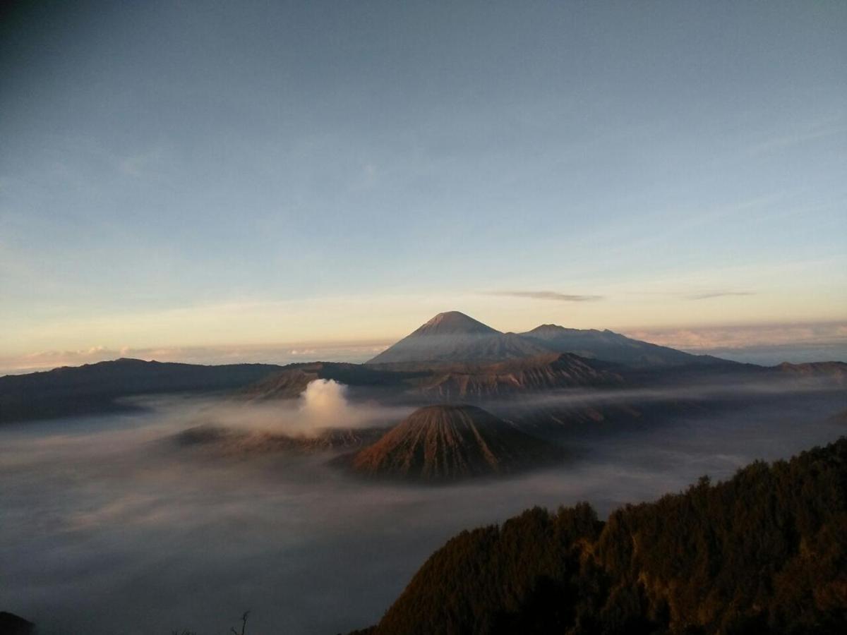 EF Bromo Homestay - Housity