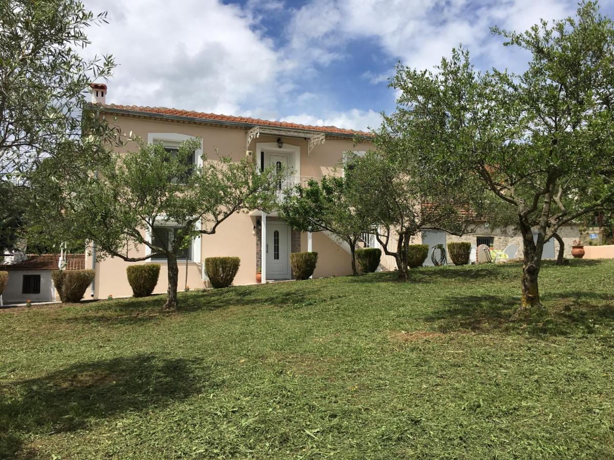 Olive Grove Rooms - Housity