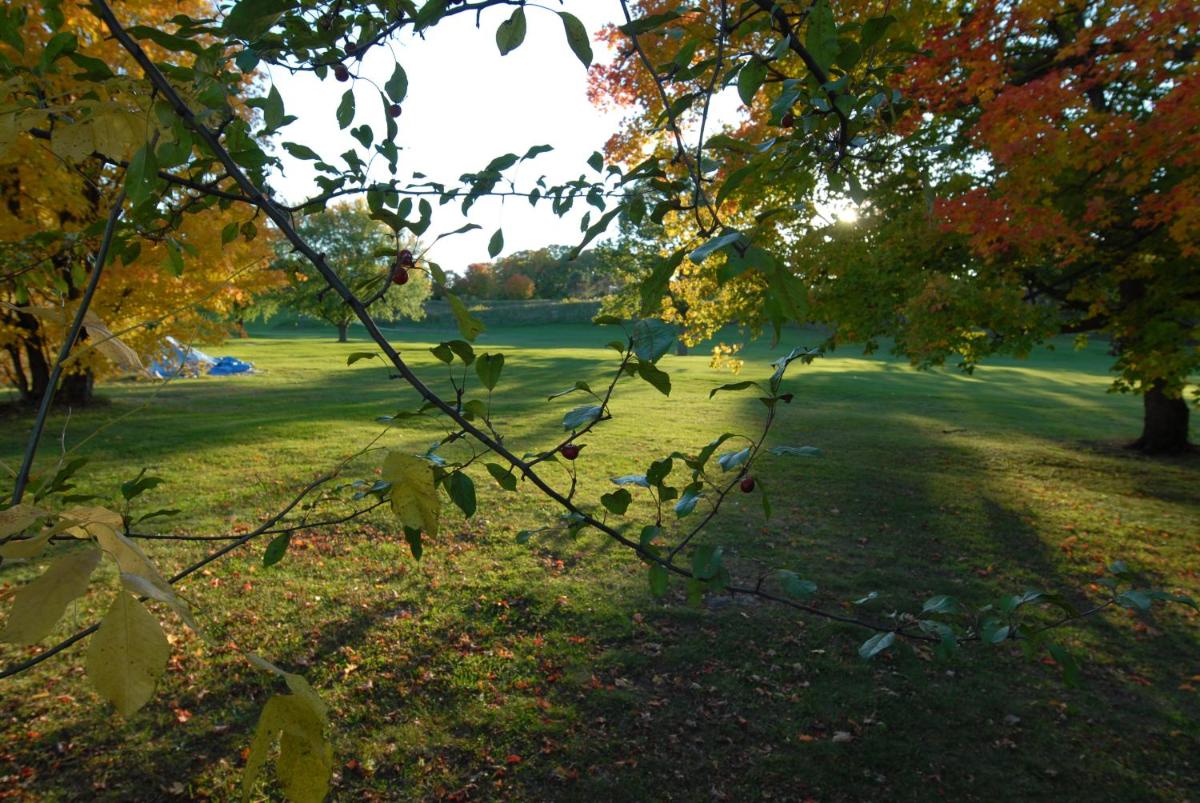 Kings Inn Orillia - Housity