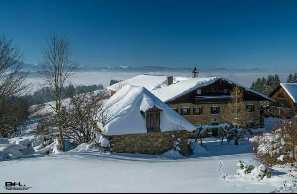Bauernhof Moadl - Housity