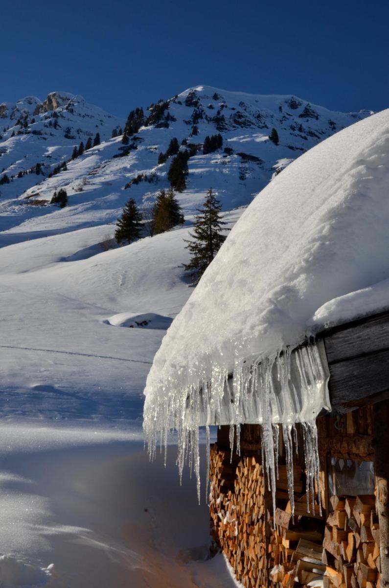 L'établissement Les Gentianettes Hotel & Spa en hiver