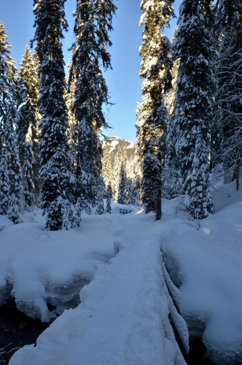 L'établissement Les Gentianettes Hotel & Spa en hiver