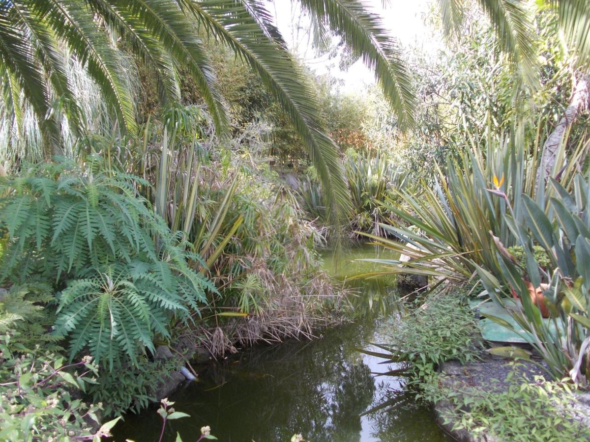 Jardín al aire libre en Hotel La Palma Romántica