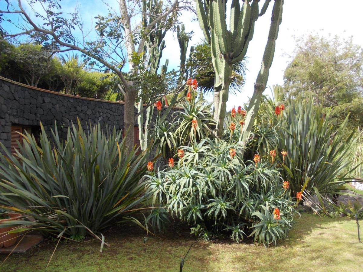 Jardín al aire libre en Hotel La Palma Romántica