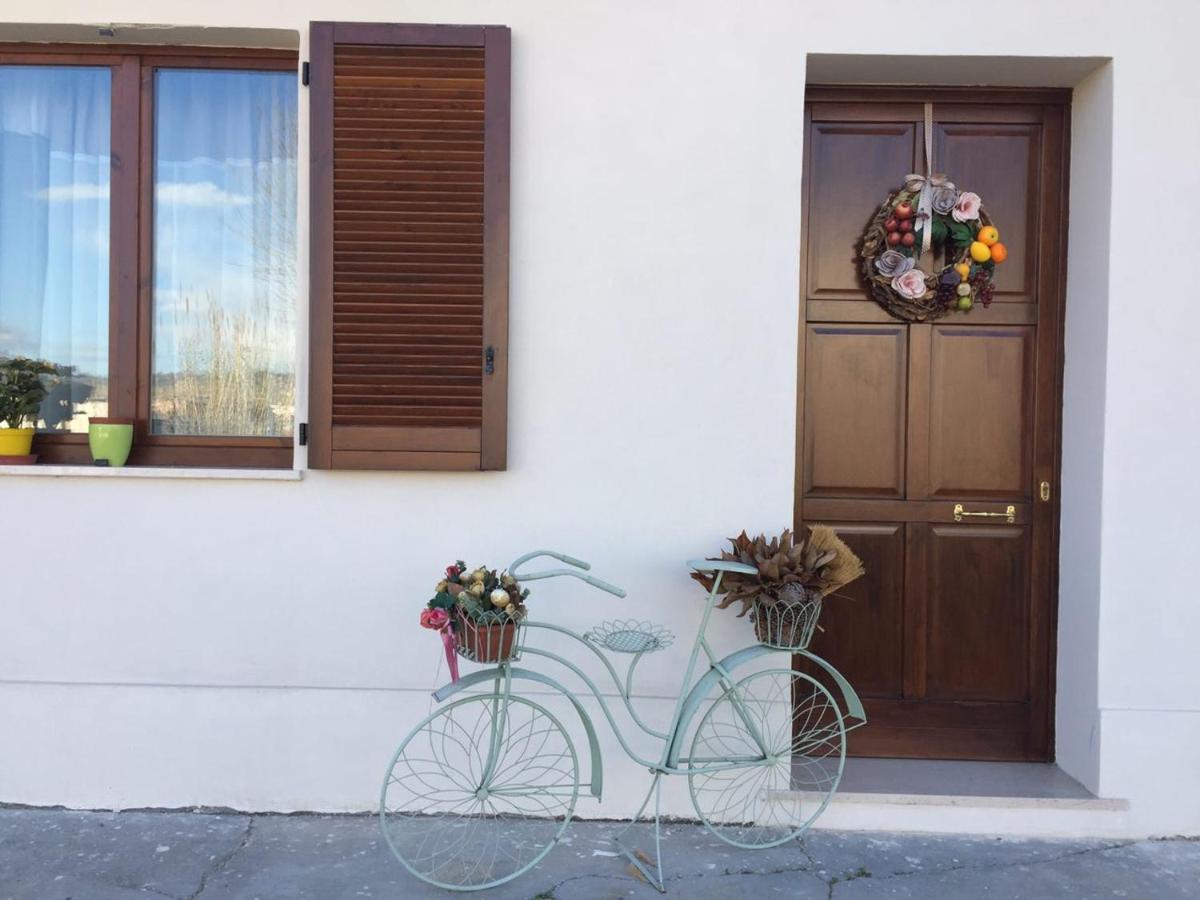 B&B Villa Angela Via della bonifica 17 - Housity