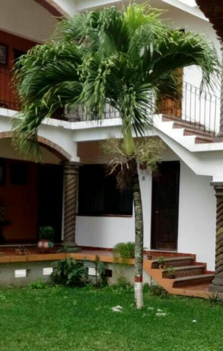 Hotel Villa Palmeras - Housity