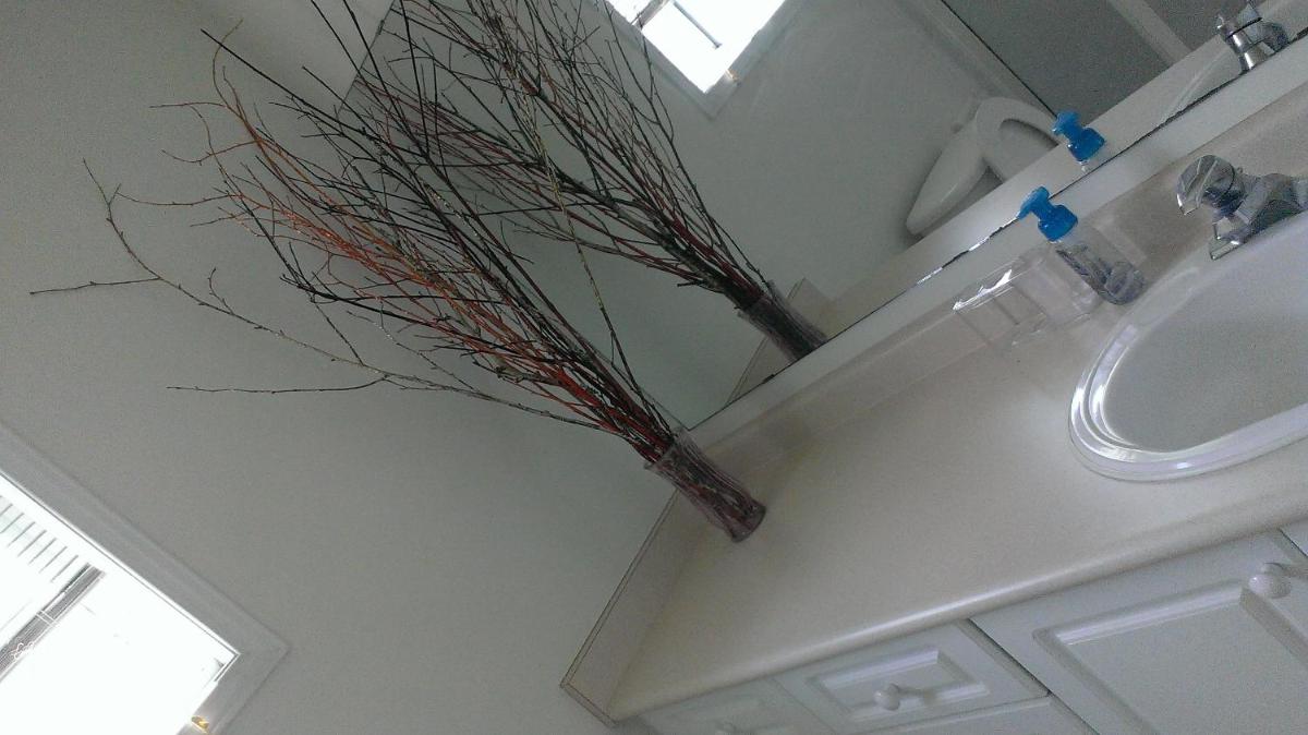 HB Guest Home 5 - Housity