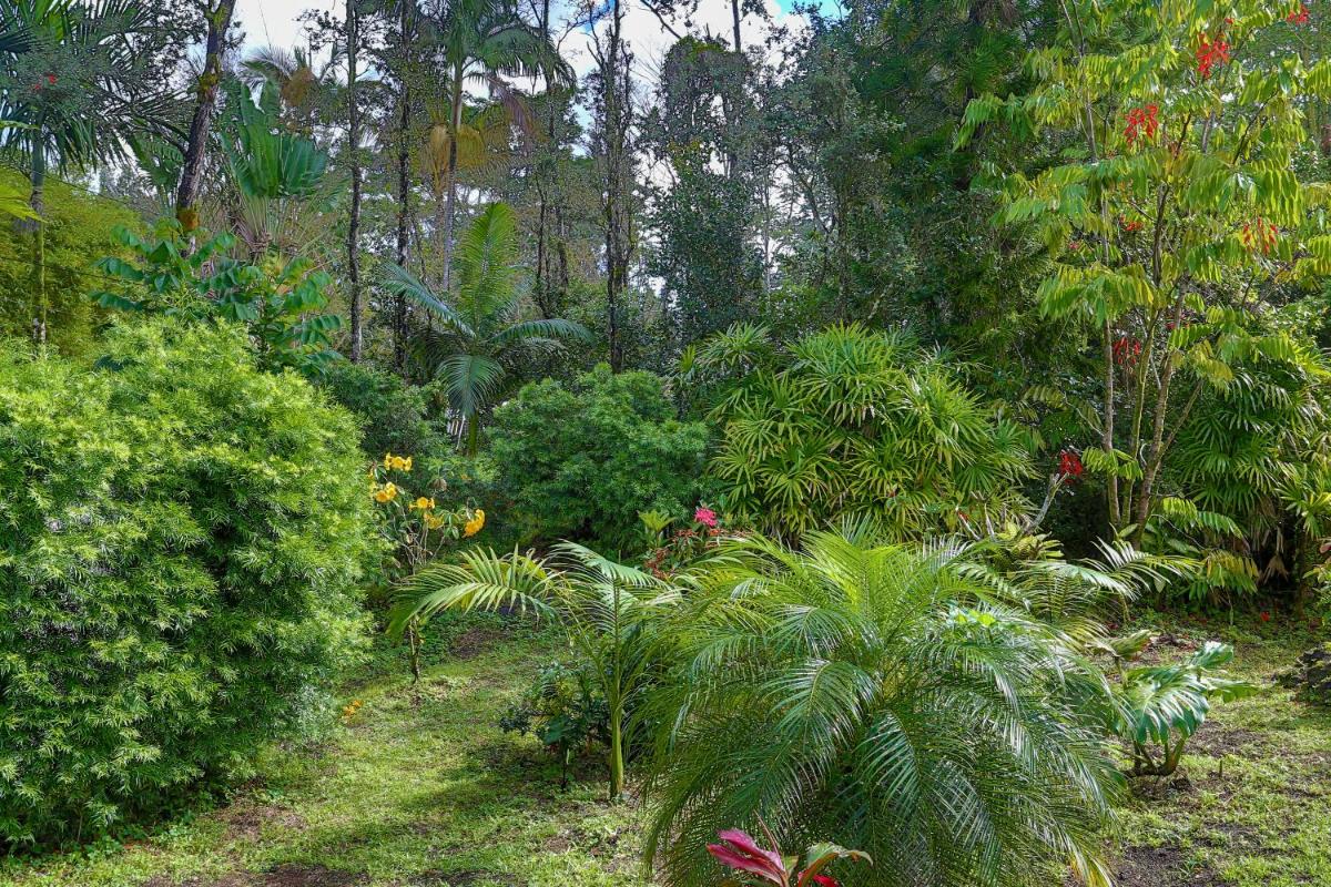 Tropical Anuenue Cottage - Housity